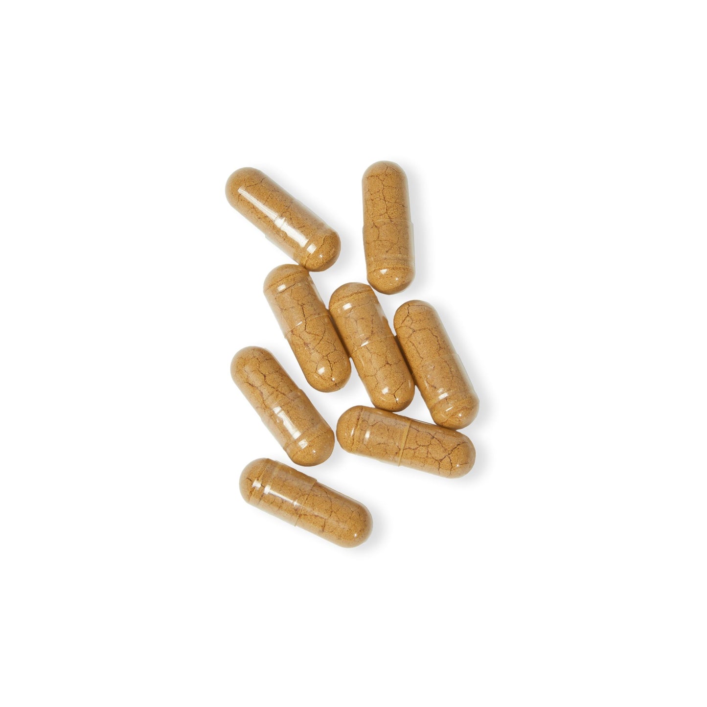 Ancient Visions Lion's Mane Blend